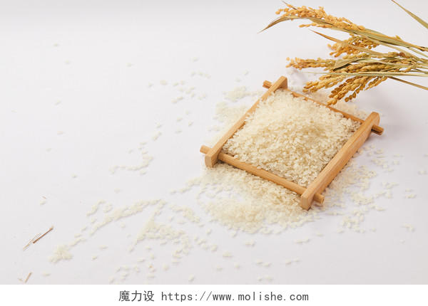 粮食白底木盒麦穗麦子大米五谷杂粮丰收配图谷物丰收节